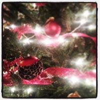 canter1122's profile picture. 