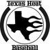 Texas Heat (@texasheatgirls) Twitter profile photo