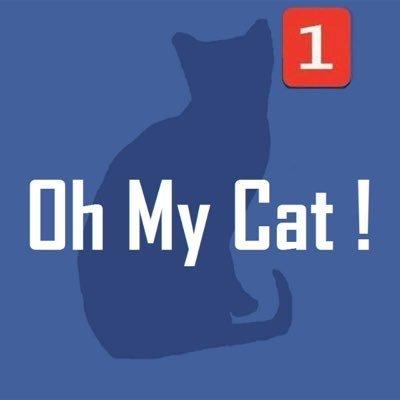 Bonjour et bienvenue sur Oh My Cat ! vous trouverez sur ce compte Twitter beaucoup d'images et de vidéos sur nos amis les chats.