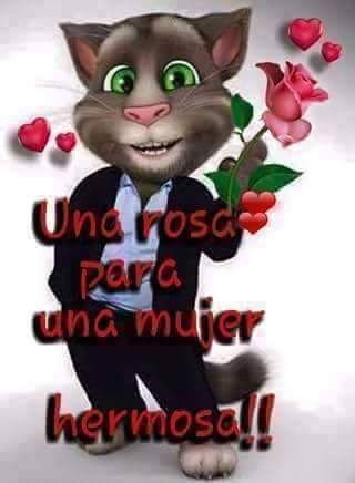 KhaanKhaan2's profile picture. 