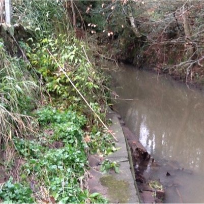 Raising awareness of flood risk around the Finham Brook, Kenilworth. Looking into Natural Flood Management for our catchment.