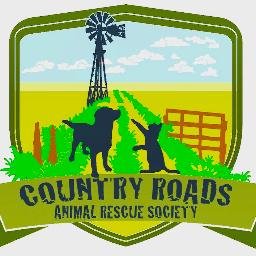 Country Roads Animal Rescue a 501c3 is dedicated to saving the lives of homeless dogs and cats in the greater #OKC area and #oklahoma crarsok@gmail.com
