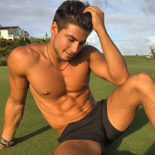 andrearpganns's profile picture. Salut