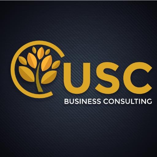 Consultoría de negocios, que mediante el uso de diferentes herramientas y enfoques propone a las compañías desarrollar su potencial y sus ventajas competitivas.