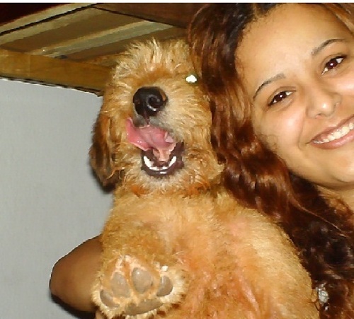 dyhspanish's profile picture. 