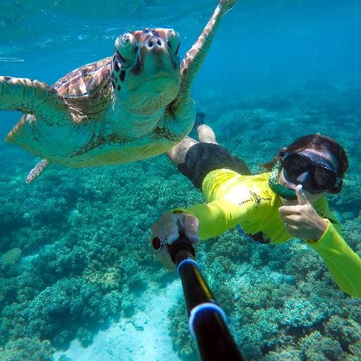 Ocean Safari offers an exhilarating ride to snorkel the pristine untouched Great Barrier Reef off the Daintree Coast at Cape Tribulation.