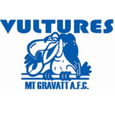 Image result for mt gravatt vultures logo