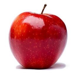 MrsLeonardWS's profile picture. 