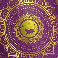 Vij's (@eatdrinkvijs) 's Twitter Profile