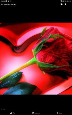 jamesofsc's profile picture. Single