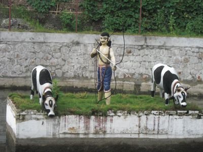 एउटा राष्टप्रेमी ब्यक्ति , सायर, कमेडियन ,नयाँ साथीहरू बनाउन बहुत मन लाग्छ , फलो गर्नुस् फलोब्याक दिन्छु