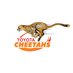 Toyota Cheetahs (@CheetahsRugby) Twitter profile photo