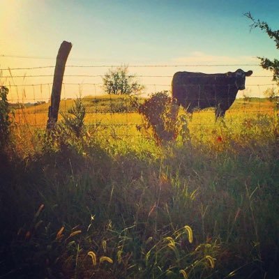 EmmyG_Prod's profile picture. Music publicist. Life liver. Fun haver.