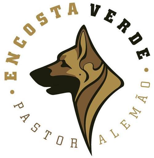 Encostaverde's profile picture. Canil especilizado na criação de Pastor Alemão, em Porto Alegre, Brasil. 

Canil expert en Perro Ovejero Alemán, en Porto Alegre - Brasil