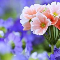 wxcvb nnn (@wxcvbnnn5) Twitter profile photo