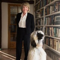 fidelma cook(@fidelmacook) 's Twitter Profile Photo