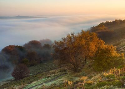 FarahAdan7's profile picture. somalia