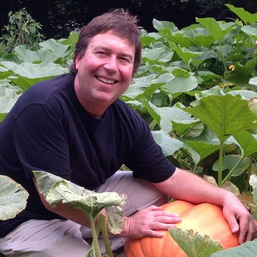 PumpkinHeadDave's profile picture. Dog Butler