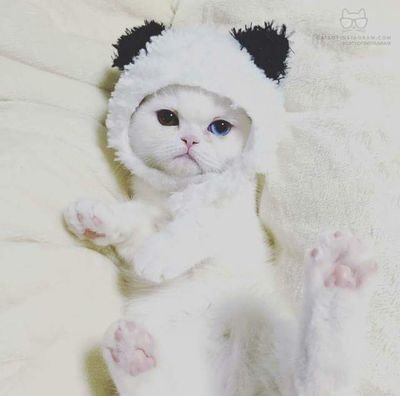 빛나는 느님들さんのプロフィール画像