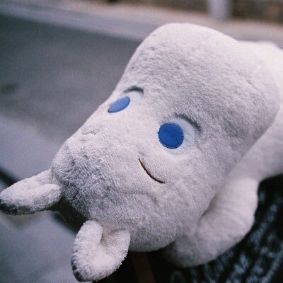 morimekko_o's profile picture. 