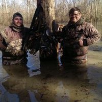 Reed Storey (@treeshakin_cur) 's Twitter Profile