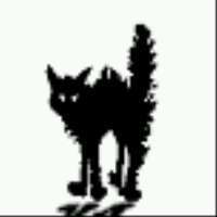 furrycat's profile picture. The cat is the only cat to know where is at.