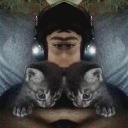 FedericogamerP's profile picture. 