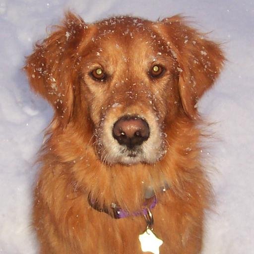 smashtanner's profile picture. I'm the oldest and the wittiest