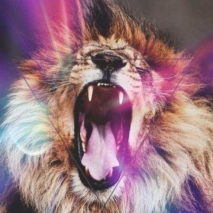 orfeojemr's profile picture. OrfeoJemr | Urmah 🦁 [9 / 11] Rockanlover ♥ #Joomla, Desarrollo Web WordPress, #PHP JS 🐘, Fútbol ⚽, Dios es ♥,  🦅 Jarocho de Hueso Colorado.