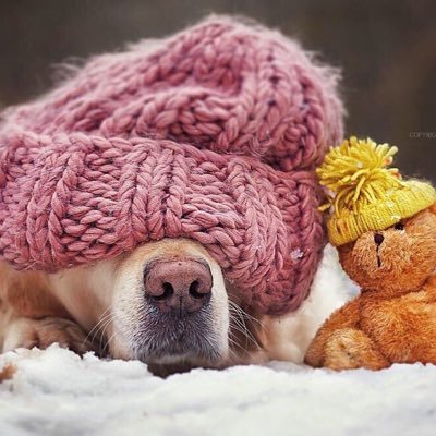 jeepette1's profile picture. 