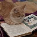 Caitlyn Brown - @_BbyCakess - Twitter