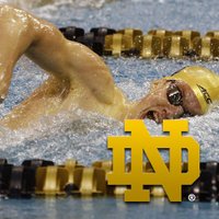 Notre Dame Swimming (@ndmensswimdive) Twitter profile photo
