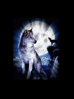 Ask, and i might say