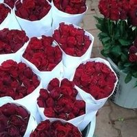 الزعيم (@bassam198219821) Twitter profile photo