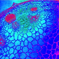 SCU Research (@researchscu) 's Twitter Profile