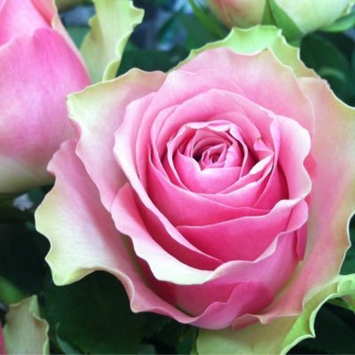 suna70's profile picture. 