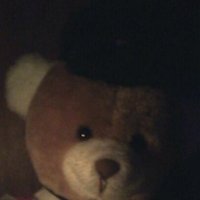 piratebearjer(@jerryWalach) 's Twitter Profile Photo