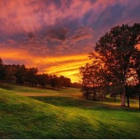 RTM (@jollyturf) 's Twitter Profile