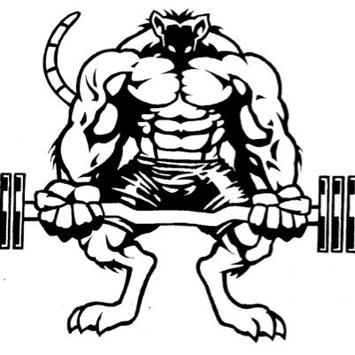Gymrat_talk's profile picture. I'm here to go over, #health #nutrition #workoutexercises and #gym etiquette. Example:DO NOT DO CURLS ON THE SQUAT RACK!! #gymrat
