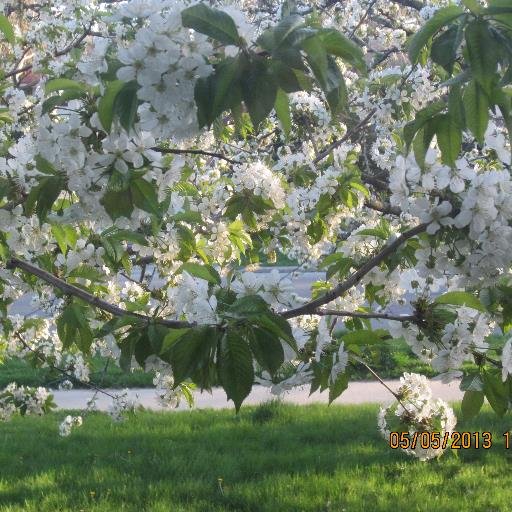 VigilantCanada's profile picture. Retired