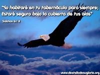 soy un convencido que sin cristo nada somos,que me falte todo menos la presencia de Dios El comunismo trae ruina,respeto a las autoridades Colombia es de Crist