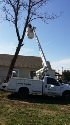 we are speciaty in cut trees, triming trees, mowing, and landscaping, 254-214-8470