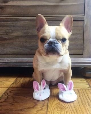 aburgio16's profile picture. HEY NOW!!