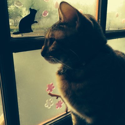 iiiii33333's profile picture. オラタン1クレお布施活動。尚、対戦はニャンニャンなレベル。