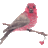 finchtalk's profile image