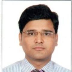 yogesh02121's profile picture. 