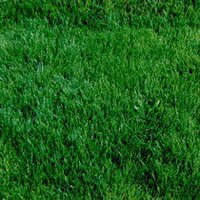 Superfucho (@superfucho) 's Twitter Profile