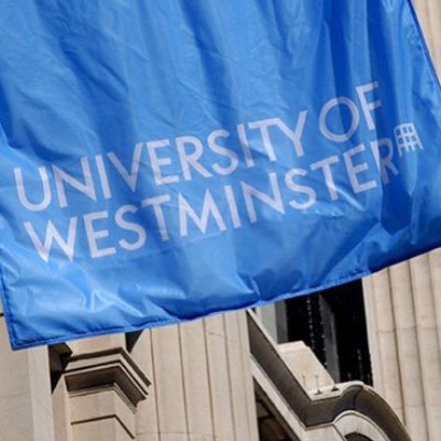 hellofuture__'s profile picture. 