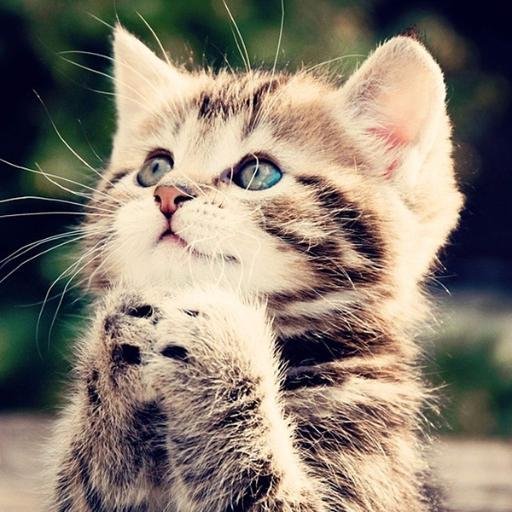 Live life to the full. Smile and the world smiles with, you cry and you cry alone