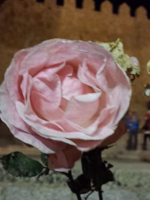 DUgxgPyOAXTgDw2's profile picture. Soy un Informático de la vieja escuela si puedo hacerlo con mis manos mejor.